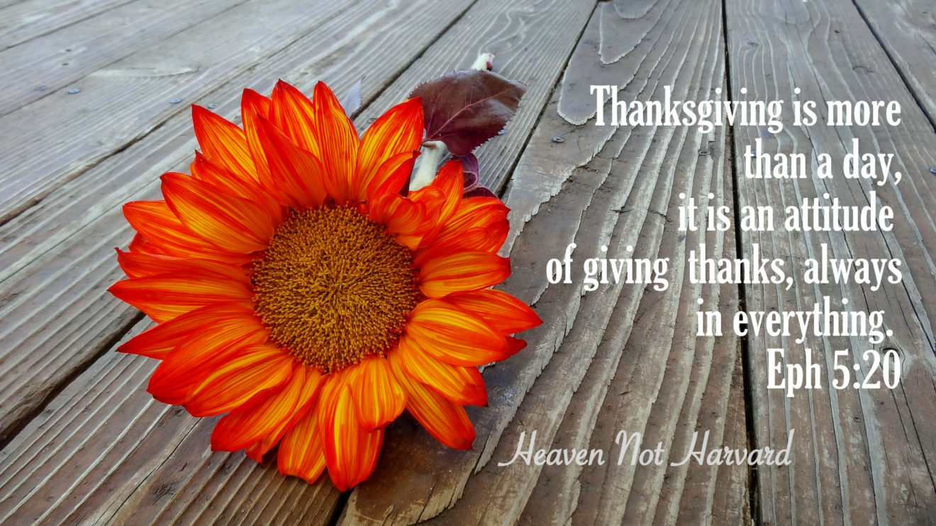 Do you have a Thanksgiving attitude just on the fourth Thursday in November or should thanksgiving be an attitude we have for more than just one day?