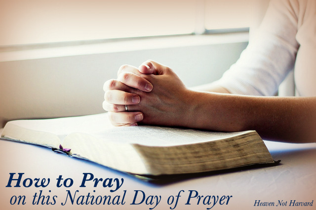 Today is the National Day of Prayer, but I'm a little overwhelmed by our nation today, and wanted to share what I found when I sought God's wisdom today.