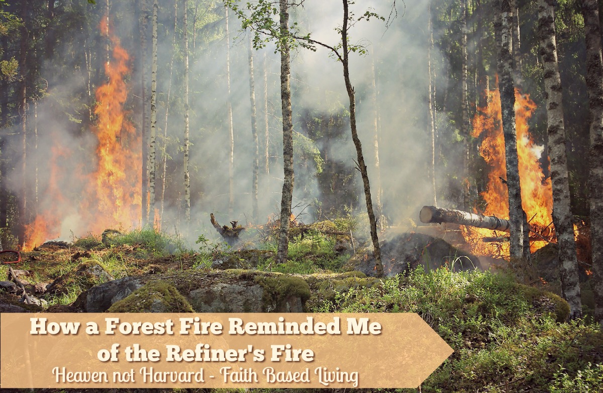 Feeling a little lost, even abandoned by God in a tough season? I've been struggling with it, but a fire gave me eyes to see purpose in the Refiner's Fire.