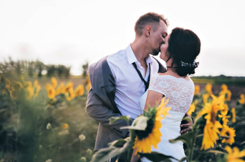 Wedding Photo of Young Couple in Sunflower Field
